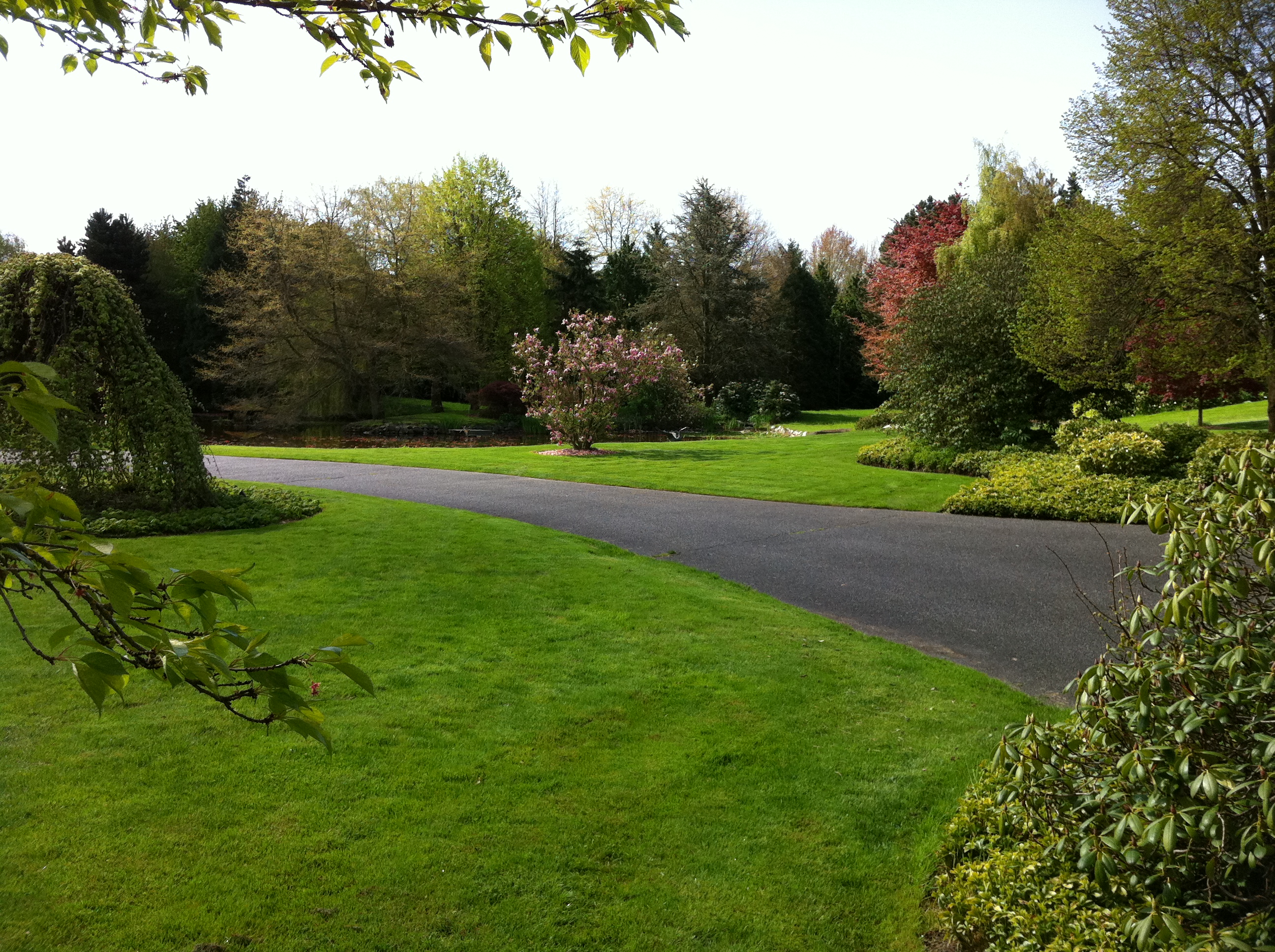 Forest and field Varga Gardens